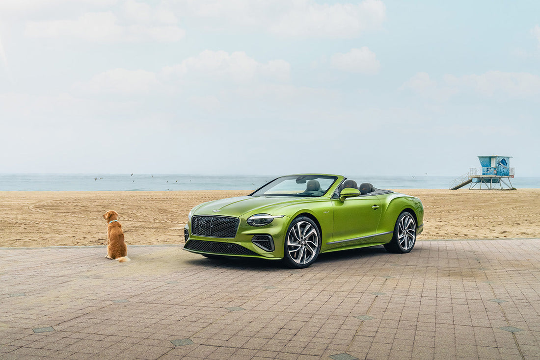 The 2025 Bentley Continental GT Speed in motion, showcasing its sleek design and powerful hybrid performance, representing the future of luxury grand touring.